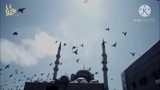 الله يعلم بحالك 