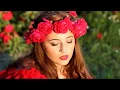 Download Lagu Million Scarlet Roses  - Chromatic Harmonica - Andrzej Felcyn