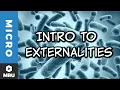 An Introduction to Externalities
