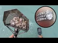 Searching South Florida Beaches for HUGE diamond rings
