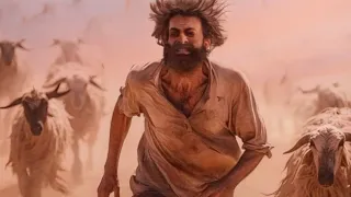 شاب هندي بيسافر السعودية وبيخطفة راجل سعودي غير سعودي ويجبره علي راعي الغنم في الصحراء 