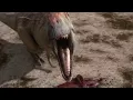 Download Lagu Mapusaurus gang Vs. Argentinosaurus | Planet Dinosaur | BBC Earth