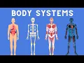 Download Lagu 11 Body Systems in 3 minutes