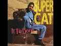 It Fe Done (Dancehall Remix) (feat. Josie Wales) - Super Cat