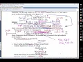 Module 17 Solving Partial Differential Equations MATLAB