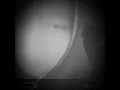 Download Lagu MERAUNG ~ in B\u0026W  New Boys