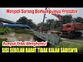 Download Lagu MENJADI SARANG BERKUMPULNYA PREDATOR SISI BARATPUN TIDAK KALAH SADISNYA - RUMPUT TEBAL MENGHANTUI