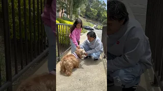 Carito y su nueva mascota #tiktok #comedy
