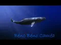 Download Lagu Shabé - Béno Béno Caméa