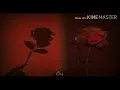 Camino de rosas | Alejandro Sanz | Letra