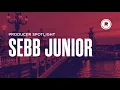 Download Lagu Sebb Junior Mix | Deep House Mix 2020