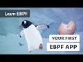 Building eBPF Programs - Linux Observability