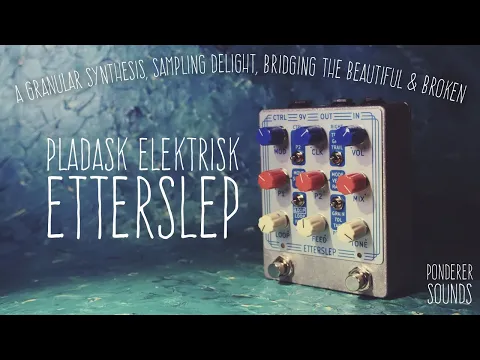 Pladask Etterslep Granular Delay | Delicious Audio