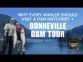 Why Every Angler Should Visit a Fish Hatchery Bonneville Dam Tour