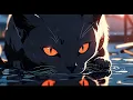 Download Lagu a lofi chill  but kucing garong 🐱‍👤😽