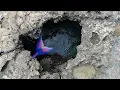 Download Lagu MERMAID CAVE