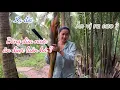 Download Lagu Độc Lạ Ăn Bông Dừa Nước Chấm Muối Ớt ,Dai Giòn Như Thịt Gà - Em Gái Quê