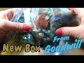 Unboxing 3lbs of Precious Stones Jewelry from Shop Goodwill Show and Sale