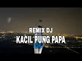 Download Lagu Kacil Pung Papa (DJ Remix) - Lagu Viral Timur Full Bass 2025 | Versi Remix Terbaru