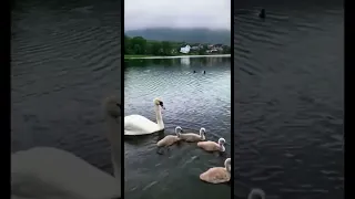 حينما حل البلاء 