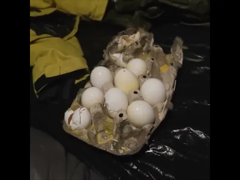 CAMPING -3 GRADOS en la MONTAÑA #shorts #viral #tendencia #shortsvideo #foryou