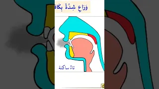 الطريقة الصحيحة لهمس التاء 