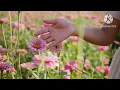 Download Lagu ظهور الأمام المهدي المنتظر خطير جدا جداً