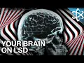 Why Does LSD Do Amazing Terrible Things To Your Brain
