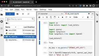 Setup local AI python dev environment using VSCode and venv and LangChain