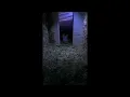 We're All Trying Here, "Parallel Night", Ost ending looped
