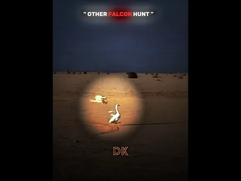 Other vs Last Falcon ☠️☠️