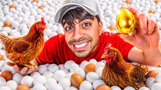 فتحت مزرعة دجاج اسطورية 🐔
