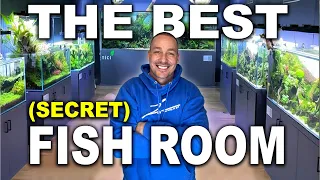 I FOUND a SECRET AQUARIUM gallery in INDIA!!  - the king of DIY tours every FISH TANK