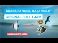 Download Lagu SUARA PANGGIL RAJA WALET ORIGINAL FULL 1 JAM
