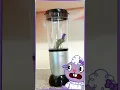Download Lagu LAMMY Watches Her Best Friend In The Blender 😂