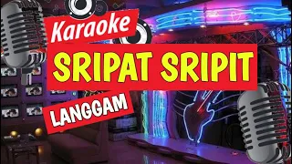 Download SRIPAT SRIPIT LANGAM - KARAOKE MP3