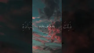 ال ذ ي أ ح س ن ك ل ش ي ء خ ل ق ه تلاوة جميلة بصوت ياسر الدوسري ياسر الدوسري Shorts 