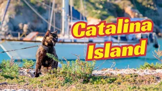 Catalina Island and Wifi Woes | Sailing Avocet