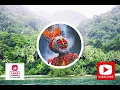 Download Lagu Wasara Medley || Latest Music 2025 🇵🇬🔥