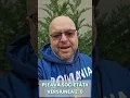 Lagu Pleava societății versiunea 2.0