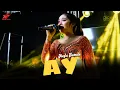 Lagu AY – MEYLA KUMALA | CAMPURSARI DANGDUT VIRAL TERBARU 2025 | SUARA BIKIN MERINDING! | BG MUSIK