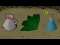 Maxed and I still don t have Ranging Potions - UIM Completionist