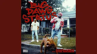 Big Dawg Status