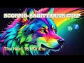 SCORPIO SAGITTARIUS CUSP The Universe Is Redirecting Your Path Trust What s Happening