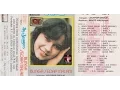 Download Lagu Kunanti Nanti ~ Iis Sugianto