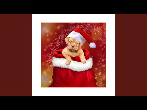 Download MP3 Tis the Season to Be Jolly