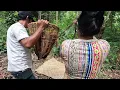 Download Lagu Forestwise Kukui Nut Oil production process (Indonesian)