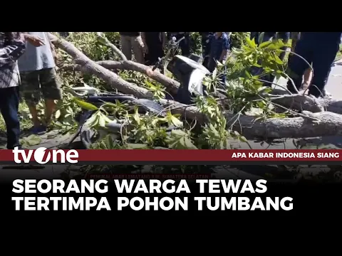 Nahas! Pengendara Motor Tewas Tertimpa Pohon