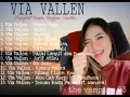 Download Lagu Lagu Dangdut Via Vallen Kompilasi || MUSIK