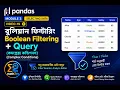 Pandas Boolean Filtering Query Method V-19 AND OR NOT Multiple Conditions data Analytics